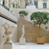 Cours de dessin académique au Louvre