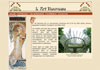 Art nouveau