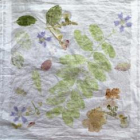 Atelier d'été : impression végétale sur tissu