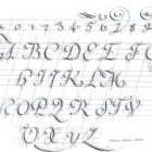 Belfort - calligraphie latine  à la journée