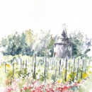 Château de Sannes, le moulin dans les vignes