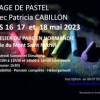 Stage de Pastel dans la baie du mont Saint-Michel avec Patricia Cabillon