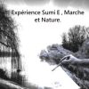 Expérience Sumi E Marche et Nature
