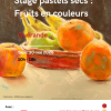 Stage de pastels secs, fruits colorés