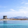 Stage carnet de voyage La Pelosa Sardaigne
