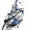 Chouettes et hiboux