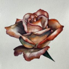 Cours et atelier d'Aquarelle à Toulouse avec Evelyne Delfour