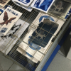 Photogramme au cyanotype et gravure