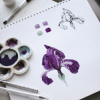 Cours aquarelle botanique - cycle 1
