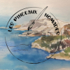 Stage de carnet de voyage au Cap Vert