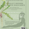Yoga et Dessin plantes sauvages