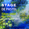 Stage de pastel sec à FOUESNANT