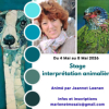 Stage mosaïque Interprétation animalière