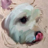 Stage de peinture portrait de mon animal de compagnie
