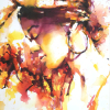Mettre de la force et de la vie dans nos aquarelles PORTRAITS et PAYSAGES avec un soupçons de créativité !