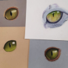 Cours de Pastel sec adulte