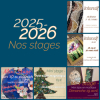 Stages mosaïque