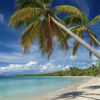 Stage carnet de dessin et de voyage en Martinique