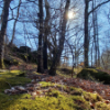 Atelier Nature