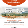 Stage Croquis & Aquarelle 3 jours dans le Luberon Avril 26