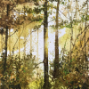 Aquarelle initiation