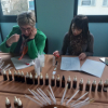 Atelier de creation d'un parfum naturel