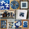Découverte du Cyanotype