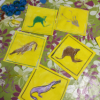 Stage Arts Plastiques Enfants