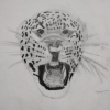 Cours de dessin pour Enfants