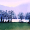 Stage dessin-peinture Vacances de Juillet