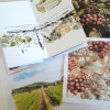 Petit carnet de vigne à la Cité des Vins