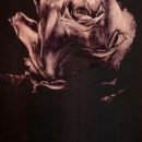 Cours aquarelle Evelyne Delfour