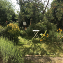 LÆTITIA HR Studio - Cours au jardin