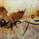 dans le désert - encre sur toile - 2024
