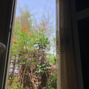 Vue de l'atelier 