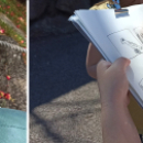 ATELIER 6-11 ANS / DESSINER À L'AQUASHOW D'AUDIERNE 2