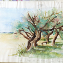 Croquis d'aquarelle en extérieur '' Les Tamaris '' à  la  plage de le Hume 
