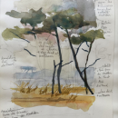 Croquis d'aquarelle en extérieur '' Les Pins ''