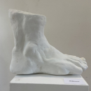 Sculpture adulte - Etude morphologique du pied - Modelage puis moulage en plâtre