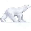 François Pompon - L'ours Polaire - Orsay - Crayon mine graphite