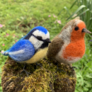 Oiseaux en laine feutrée à l'aiguille