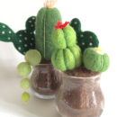 cactus en laine feutrée à l'aiguille