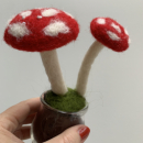 Champignons feutrage aiguille