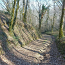 Foret privée
