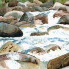 Fonte des neiges - peindre les torrents et cascades à l'aquarelle