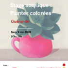 Stage peinture acrylique, plantes colorées