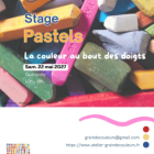 Stage de pastels secs