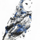 Chouettes et hiboux