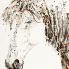 Portrait de cheval