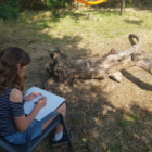 Dessin/peinture enfants/adolescents